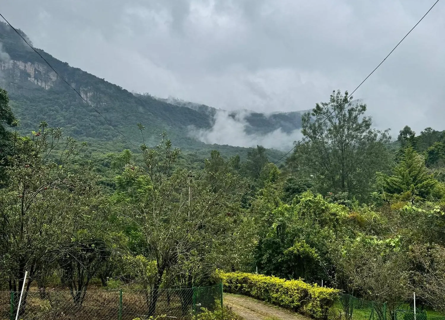 Hostal Apple Valley - Mountain View Domitory Kanthalloor India